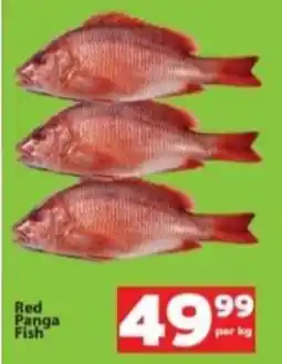 Check Save Red Panga Fish offer