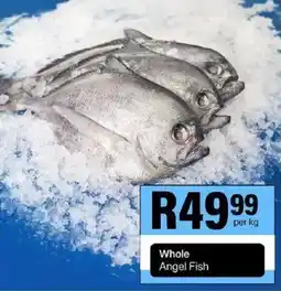 Take 'n Pay Whole Angel Fish offer