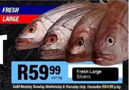 Take 'n Pay Fresh Large Silvers offer