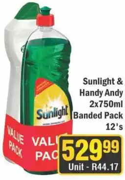 J&E Cash and Carry Sunlight & Handy Andy Banded Pack offer