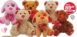 Pick n Pay Hypermarket Plush Assorted Designs Each offer