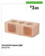 Leroy Merlin Cameo Light Face Brick 81435710 offer