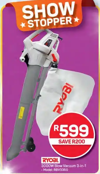 Pick n Pay Hypermarket RYOBI 3000W Blow Vacuum 3-in-1 offer