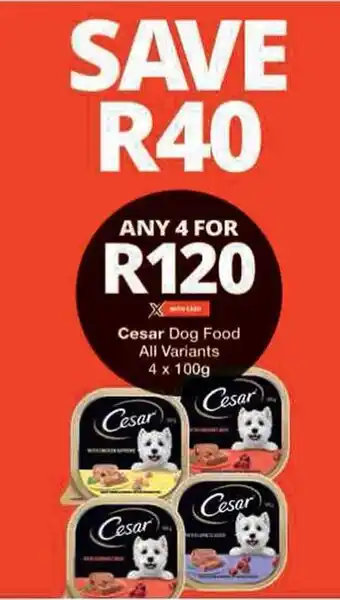 Checkers Cesar Dog Food All Variants offer