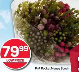 Pick n Pay Hypermarket PnP Pocket Money Bunch offer