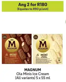 Makro MAGNUM Ola Minis Ice Cream offer