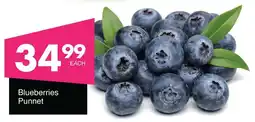 Save Hyper Blueberries Punnet offer