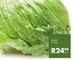 Save Lettuce Punnet offer