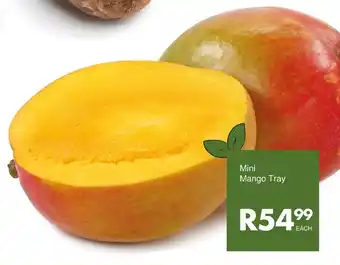 Save Mini Mango Tray offer