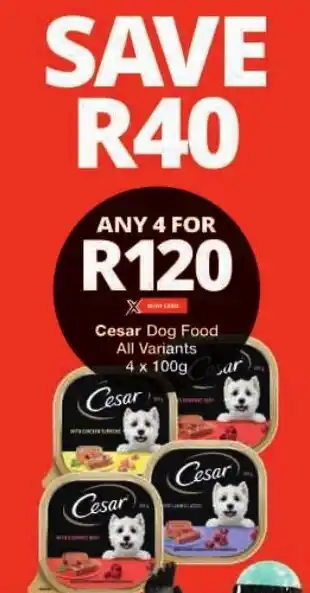 Checkers Cesar Dog Food All Variants offer