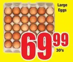 Boxer Large Eggs offer