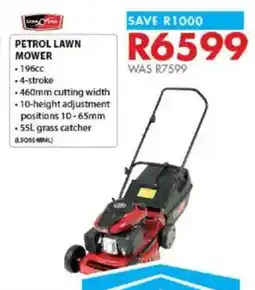 Chamberlain Petrol lawn mower offer