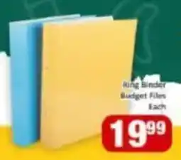 Big Save Ring Binder Budget Files offer