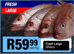 Take 'n Pay Fresh Large Silvers offer