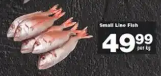 Check Star Small Line Fish offer