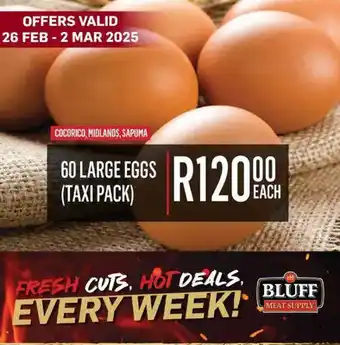 Bluff Meat Supply 60 large eggs offer