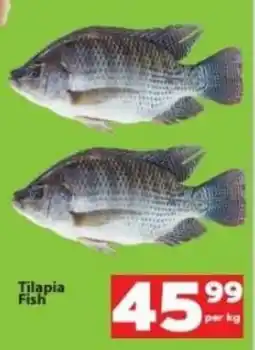 Check Save Tilapia Fish offer