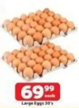 Check Save Large Eggs offer