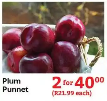 Oxford Freshmarket Plum Punnet offer