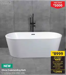 Builders Warehouse Olivia Freestanding Bath offer