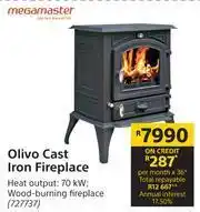 Builders Warehouse Megamaster Olivo Cast Iron Fireplace offer