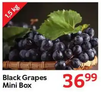 Oxford Freshmarket Black Grapes Mini Box offer