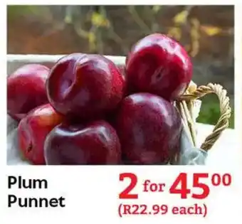 Oxford Freshmarket Plum Punnet offer