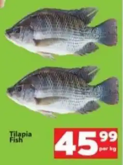 Check Save Tilapia Fish offer