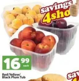 Check Save Red/Yellow/ Black Plum Tub offer