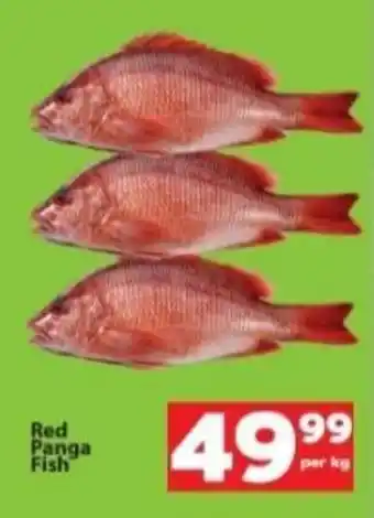 Check Save Red Panga Fish offer