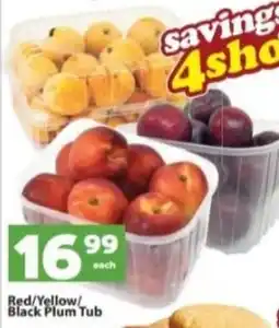 Check Save Red/Yellow/ Black Plum Tub offer