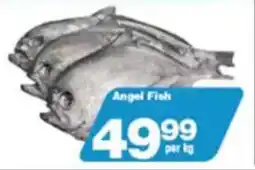 Check Star Angel Fish offer