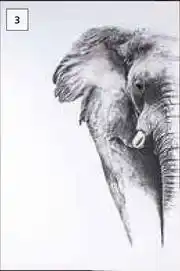 Builders Warehouse Designhouse Elephant Canvas 900mm x 600mm (Grey) offer