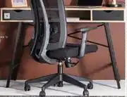 Colorado Computer Desk