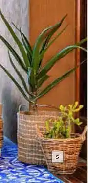 DH Tiger Basket-360mm x 360mm x 360mm