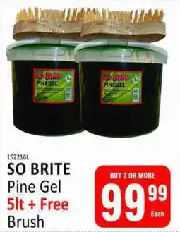 KitKat Cash and Carry SO BRITE Pine Gel + Free Brush offer