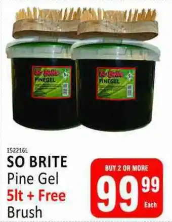 KitKat Cash and Carry SO BRITE Pine Gel + Free Brush offer