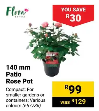 Builders Warehouse Flora Rose Pot Patio offer