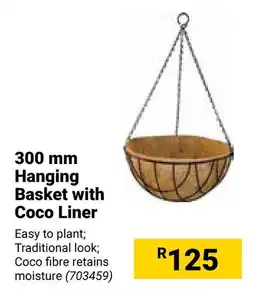 Builders Warehouse Hanging Basket with Coco Liner offer