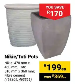 Builders Warehouse Nikie/Toti Pots offer