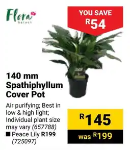 Builders Warehouse Flora Spathiphyllum Cover Pot offer