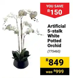 Builders Warehouse Artificial 5-stalk White Potted Orchid offer