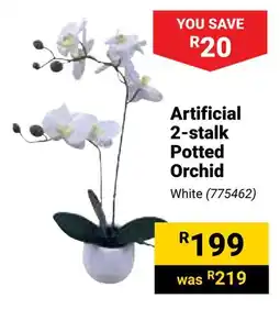 Builders Warehouse Artificial 2-stalk Potted Orchid offer