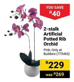 Builders Warehouse 2-stalk Artificial Potted Rib Orchid offer