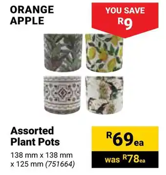 Builders Warehouse ORANGE APPLE Assorted Plant Pots offer