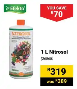 Builders Warehouse Efekto Nitrosol offer