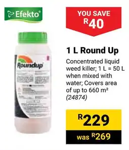 Builders Warehouse Efekto Round Up offer