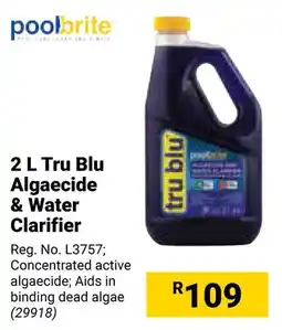 Builders Warehouse Poolbrite Tru Blu Algaecide & Water Clarifier offer