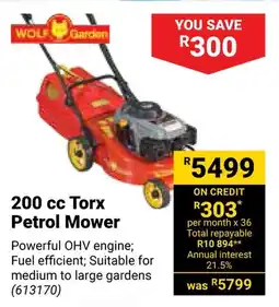 Builders Warehouse WOLF Garden 200 cc Torx Petrol Mower offer