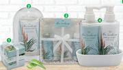 Dis-Chem Nature's Edition Aloe Landscape Soap Trio Set offer